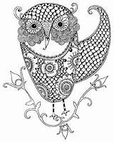 Zentangle Owl Owls Doodle Coloring sketch template