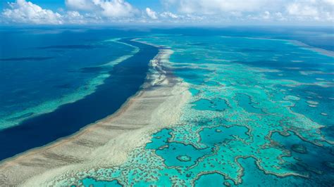australia avoids unesco downgrade  great barrier reef nbc  dallas