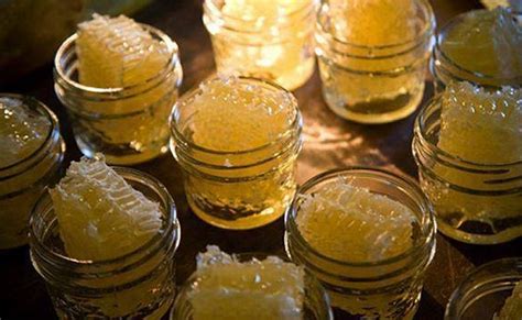 honingraat met honing archives eco honing papendrecht roemenie