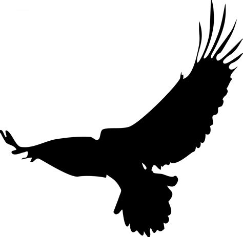 eagle silhouette  stock photo public domain pictures