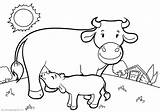 Vacas Vaca Byk Kolorowanka Byki Touro Kolorowanki Toros Krowy Boi Kuh Ferdinando Mucca Uma Pokoloruj Fazenda Livro Q3 Teraz sketch template