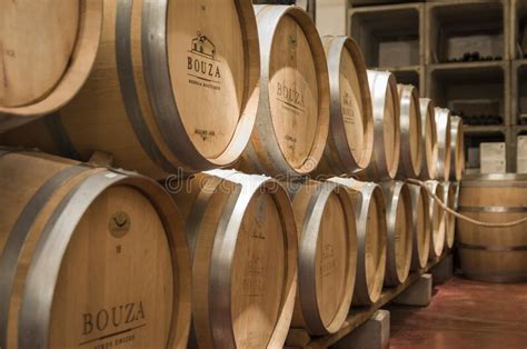 Oak Barrels From Famous Bodega Bouza Winery Of Fine Wines From Uruguay