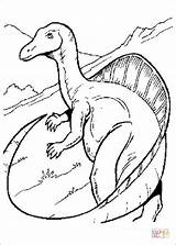 Coloring Pages Dinosaur Io Slither Book Dinosaure Dinosaurs Tail Drawings Long Drawing Template русский Getdrawings Info Handcraftguide Printable Index sketch template