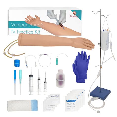 buy anatomy lab premium iv  venipuncture training kit practice