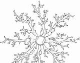 Lichen Drawing Easy Template Coloring sketch template