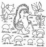 Hedgehog Egel Kolorowanki Krajobraz Gathers Mushrooms Listopad Jesienne Druku Lesie Jesienny Jeż Darmo Liście Kasztany Mytopkid sketch template