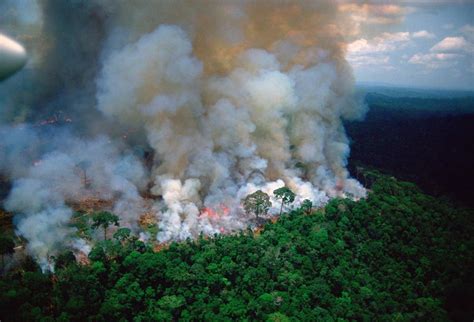 amazon rainforest  burning  smoke   fires     space philippines