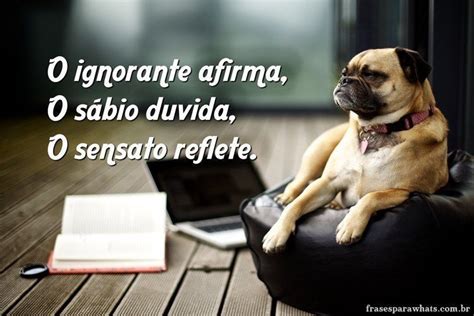 frases de reflexao sobre  vida  status frases