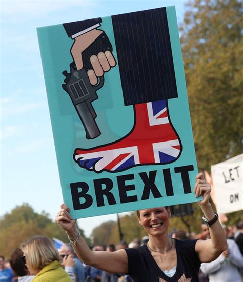 funniest anti brexit protest signs