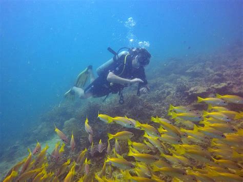 padi advanced open water dive seatango