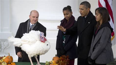 a history of the presidential turkey pardon the new york times