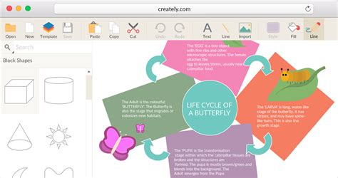 educational graphic organizer maker   creately