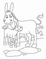 Donkey Esel Foal Donkeys Letzte Seite sketch template