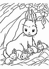 Malvorlage Hasen Malvorlagen Hase Mandalas Nashorn Lustige Frisch sketch template