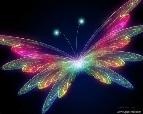 funny  wallpaper colorful butterfly wallpaper
