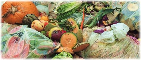 food waste infrastructure  disposal ban states biocycle