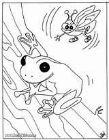 Frog Frosch Zum Ausmalen Reptile Grenouille Ausmalbild Hellokids Leap Fliege Ferme Une Amphibians Reptiles Libellule Swimming Grassland Worksheeto Swiming Coloriages sketch template