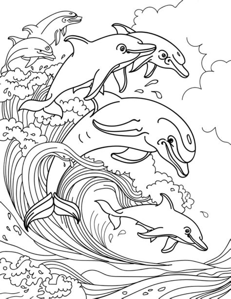 dolphin coloring pages  kids  love  printable pdfs verbnow