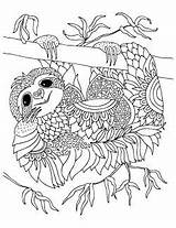 Sloth Coloring Pages Adults Printable Keiti Smiling Animal Cute sketch template