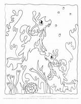 Seaweed Coloring Pages Getcolorings Printable Print sketch template