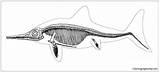 Ichthyosaur Pages Skeleton Coloring Color sketch template