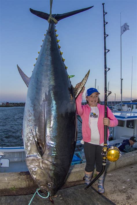 twelve year  angler lands junior world record bluefin tuna outdoorhub