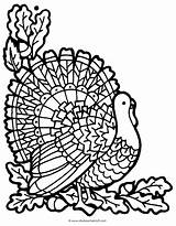 Coloring Turkey Pages Realistic Printable Print Thanksgiving Color Getcolorings Book sketch template