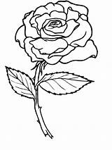 Coloring Pages Printable Roses Adults Print sketch template
