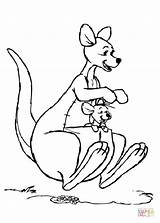 Kangaroo Coloring Pages Funny Printable Drawing sketch template