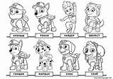 Paw Patrol Coloring Pages Printable Chase Drawing Kids Halloween Characters Everest Pups Print List Color Draw Colouring Pet Sheets Rocky sketch template