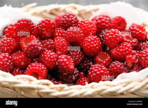 raspberry stock photo alamy
