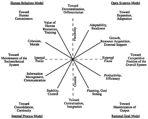 competing values framework  decoding tool signature pedagogy