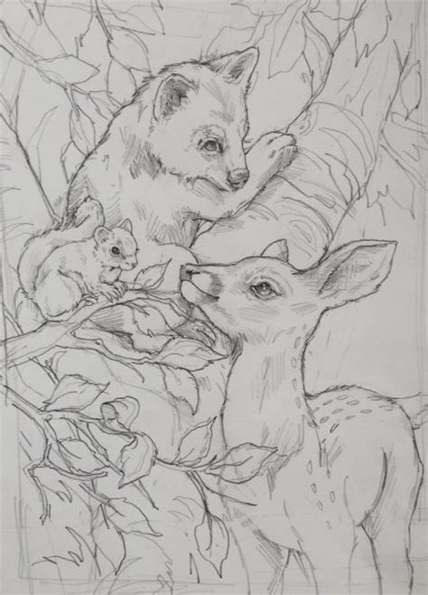 jody bergsma animal drawings drawings animal sketches
