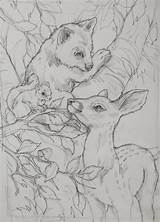 Coloring Pages Jody Bergsma Drawings Adult Patterns Animal Drawing Sketches Colouring Pencil Pirografia Books Pyrography Bear Wood Burning Di Deer sketch template