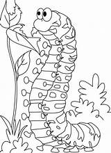 Coloring Caterpillar Butterfly Pages Preschool Choose Board sketch template