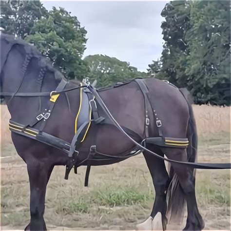 driving harness  sale  uk    driving harness
