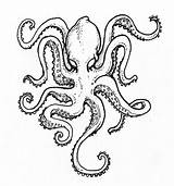 Octopus Drawing Outline Tattoo Squid Kraken Drawings Realistic Simple Tattoos Sketch Line Draw Clip Painting Flash Sleeve Getdrawings Illustration Falcon sketch template