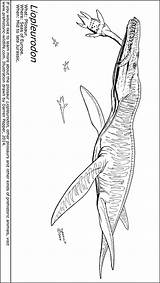 Liopleurodon Coloring Pages Colouring Template Prehistoric Sheet sketch template