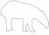 Tapir Coloring sketch template