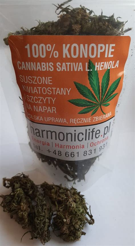 konopie cbd cannabis sativa l henola suszone kwiatostany 100