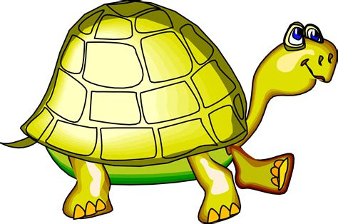 cartoon turtles images clipart