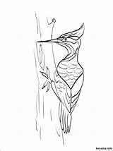 Woodpecker Coloring Pages Printable Drawing Kids Color Animals Tree Drawings Colouring Children Preschool Native American Sheets Getdrawings Stuff Choose Board sketch template