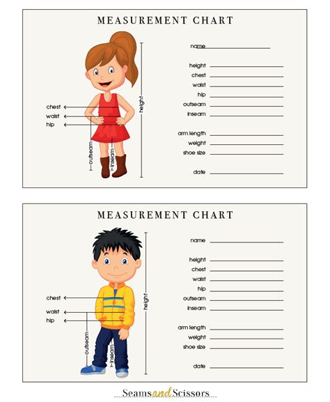 body measurements  printable size chart seams