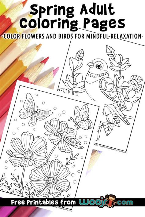 spring adult coloring pages woo jr kids activities