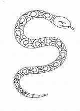 Snake Colouring Coloring Snakes Pages Zentangles Dragons Color Lizards Shapes Doodle sketch template
