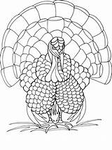 Turkey Coloring Pages Kids Printable sketch template