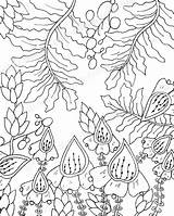 Coloring Pages Zentangle Floral Adult Etsy sketch template
