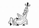 Coloring Pages Marty Madagascar Comment Logged Must Post sketch template