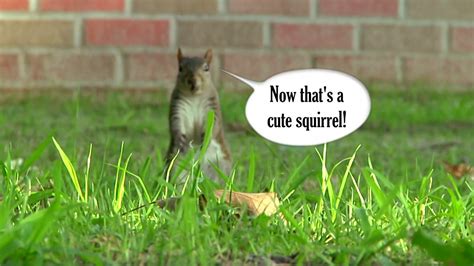 squirrel wellness safe sex on vimeo