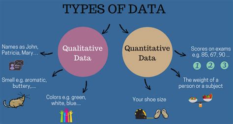 qualitative  quantitative data analysis definitions examples